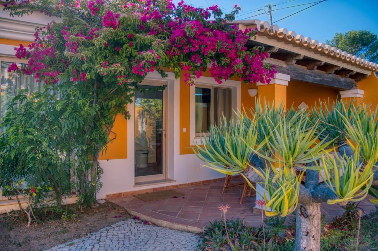 Moonshine Guest House With Private Studios And Private Cottage ラゴス エクステリア 写真